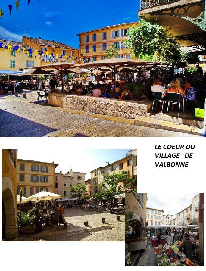 Les Chenes Verts Valbonne Esterno foto